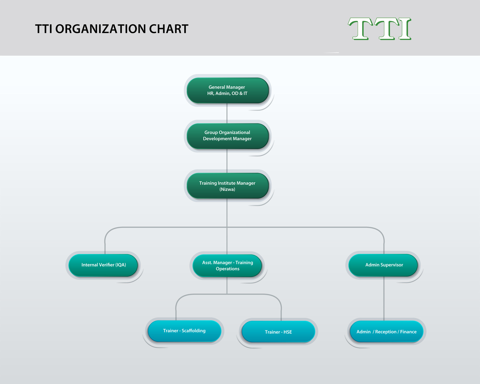 Organization Chart